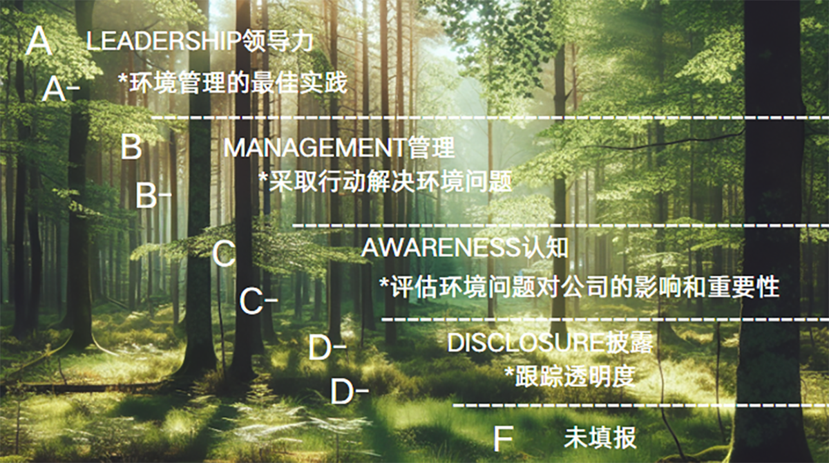 以碳减排为笔，绘就绿色新篇：GA黄金甲股份获 CDP 双领域管理级最高等级认证